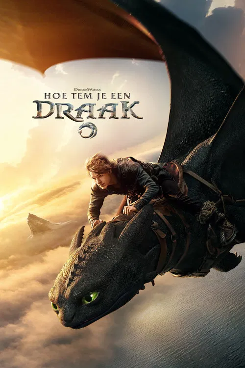 Poster van Hoe tem je een draak