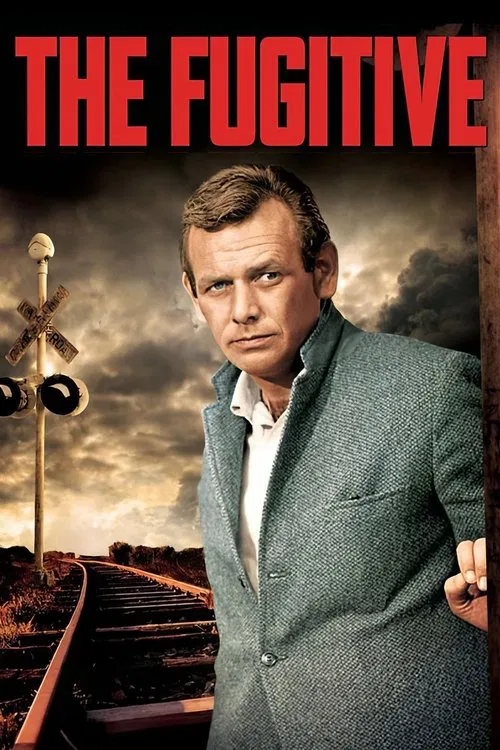 Poster van The Fugitive