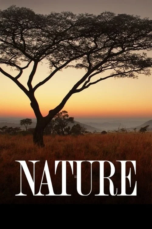 Poster van Nature