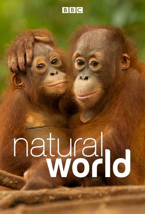 Poster van Natural World